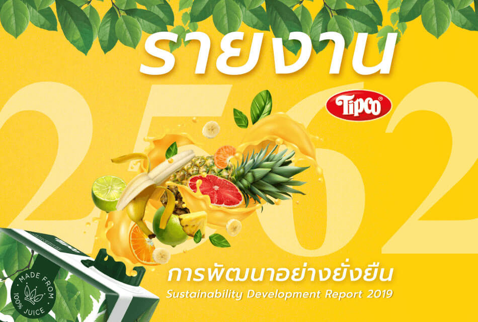Sustainability-Report-for-2019-pdf